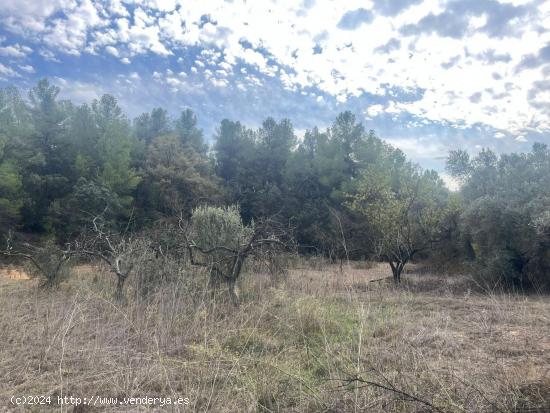 Finca en Horta de Sant Joan - TARRAGONA