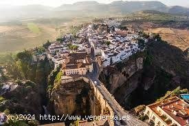 Finca en venta en Ronda (Málaga)