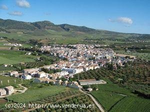 Finca en venta en Arriate (Málaga)