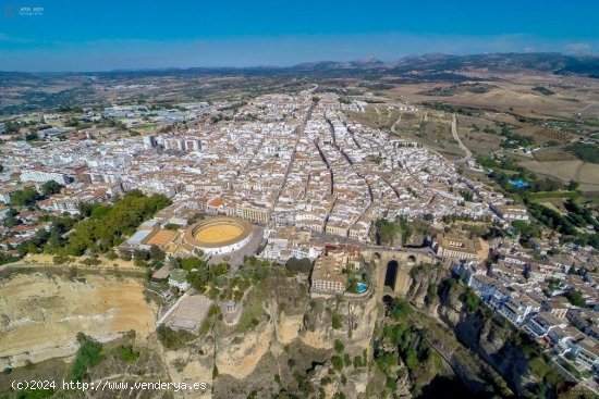 Finca en venta en Arriate (Málaga)