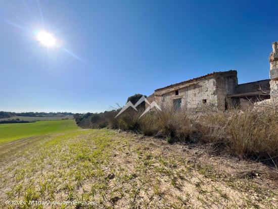 Terreno para tres viviendas unifamiliares en Santa Margalida - BALEARES