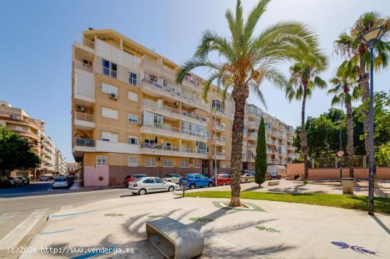  GRAN ÁTICO EN TORREVIEJA, 2 HAB, 1 BAÑO - ALICANTE 