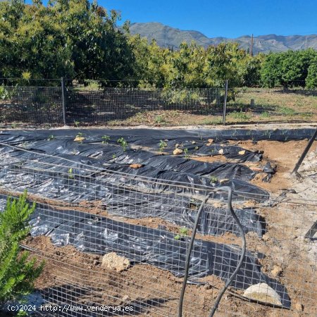 Finca en venta en Alhaurín de la Torre (Málaga)