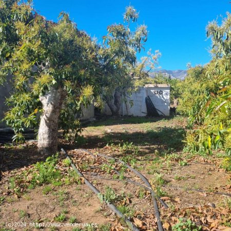 Finca en venta en Alhaurín de la Torre (Málaga)