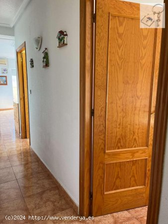 Apartamento en venta en Torrevieja (Alicante)