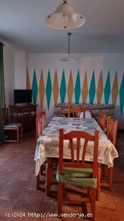 Apartamento en alquiler en Torrox (Málaga)