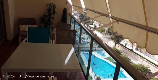 Apartamento en alquiler en Benalmádena (Málaga)