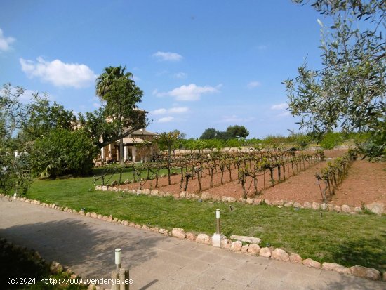 Finca en alquiler en Llucmajor (Baleares)