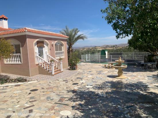 Chalet en parcela de 5000m2 - MURCIA