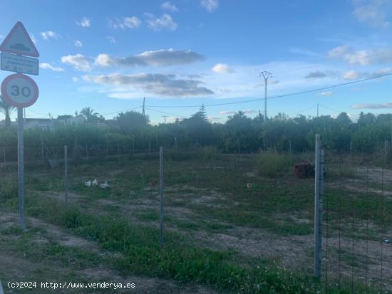 Parcela Urbana en plena huerta de Murcia - MURCIA