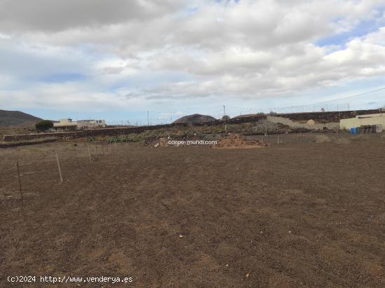 ¡OPORTUNIDAD! Terreno en La Oliva - LAS PALMAS