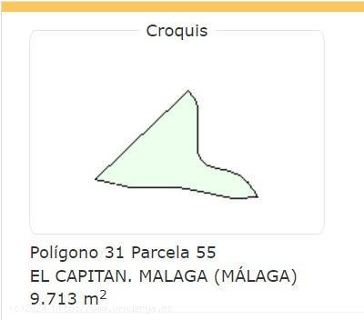 PARCELA RÚSTICA 21 HA EN CAMPANILLAS - MALAGA