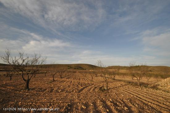 Se Vende en Abanilla - MURCIA