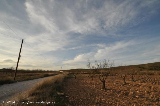 Se Vende en Abanilla - MURCIA