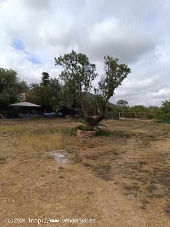 Finca con cédula legal - BALEARES