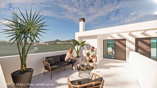  Vivir con vistas a la huerta a la Vega Baja - Orihuela 