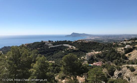  ▷Parcela Orientada al Sur con Vistas al Mar en Altea, Galera las Palmeras. - ALICANTE 