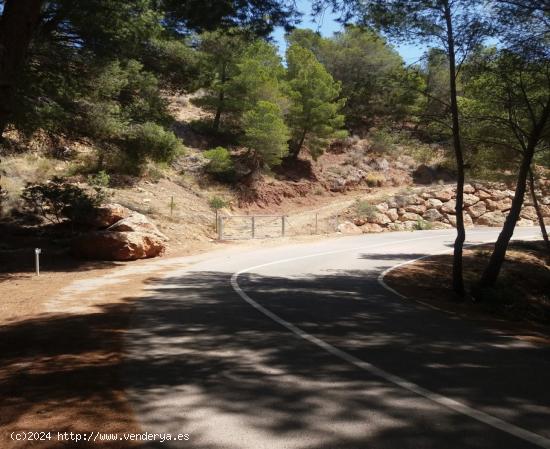 ▷Parcela Orientada al Sur con Vistas al Mar en Altea, Galera las Palmeras. - ALICANTE