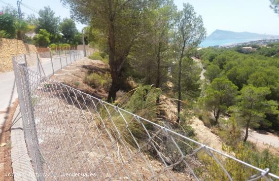 ▷Parcela Orientada al Sur con Vistas al Mar en Altea, Galera las Palmeras. - ALICANTE