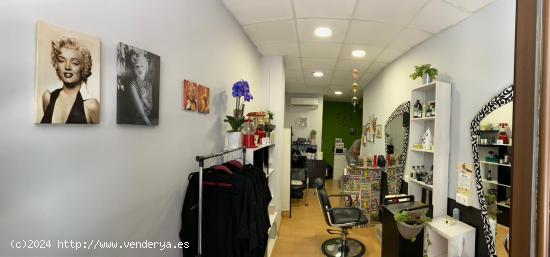  VENTA LOCAL COMERCIAL CENTRICO - ALICANTE 