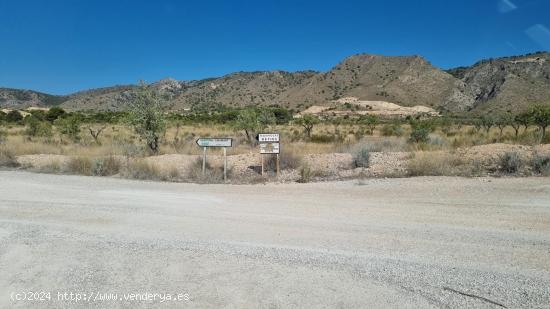 ¡EXCELENTE OPORTUNIDAD DE INVERSIÓN! PARCELA DE 120.000 M2 EN EL PARAJE DE QUIBAS, ABANILLA (MURCI