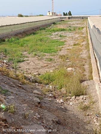  Terreno rústico en venta en La Curva (Adra) - ALMERIA 