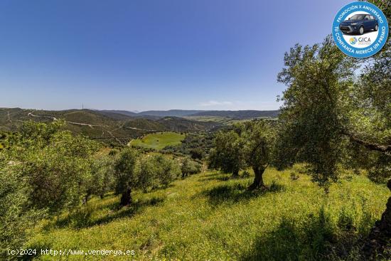 ¡BAJADA DE PRECIO! ESTUPENDA FINCA EN SAN JOSÉ DEL VALLE - CADIZ