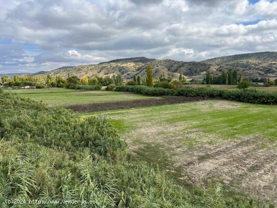 ¡Oportunidad única en Carabaña! Casa para reformar con vistas espectaculares a la Vega. - MADRID