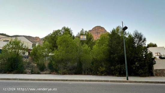  TERRENO URBANO EN POLOP - ALICANTE 