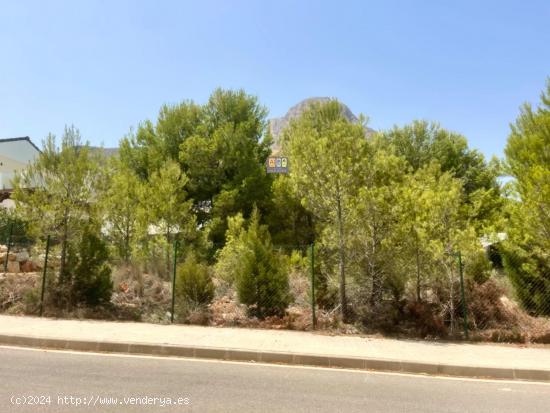 TERRENO URBANO EN POLOP - ALICANTE