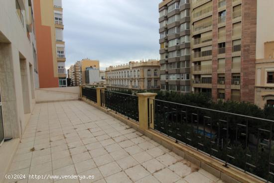 Alquiler de Oficina en le Paseo de Almería. - ALMERIA