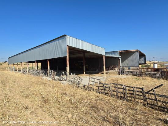 FINCA RÚSTICA CON NAVES - CORDOBA