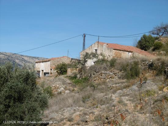 DOS MASÍAS EN VENTA EN UNA MISMA PARCELA CON LUZ Y TERRENO - CASTELLON