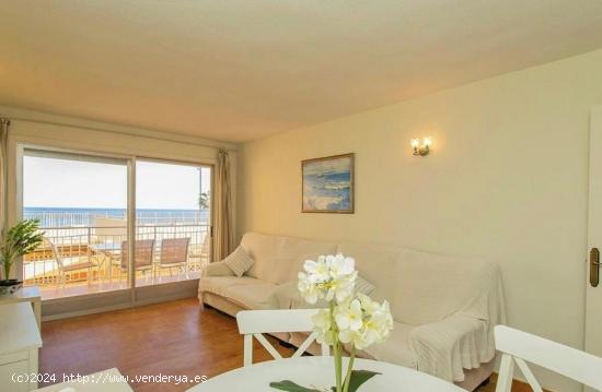 APARTAMENTO EN PRIMERA LÍNEA DE PLAYA CON LICENCIA TURÍSTICA - TORREVIEJAAPARTAMENTO EN PRIMERA L