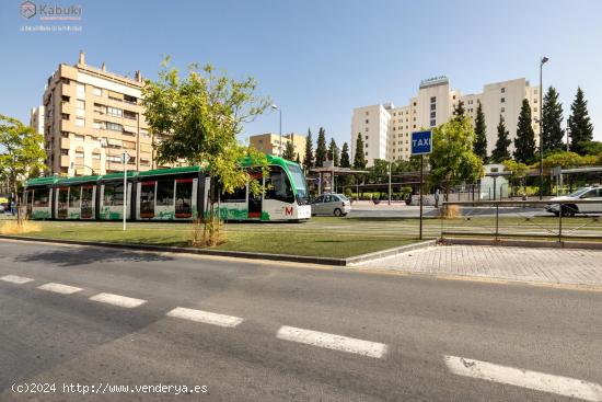 GRAN LOCAL REFORMADO EN AVENIDA CONSTITUCIÓN IDEAL PARA OFICINAS - GRANADA