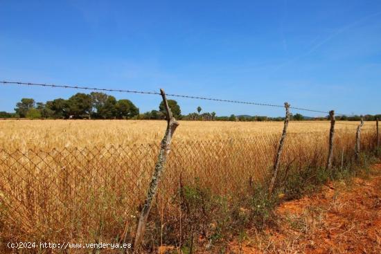 Terreno idealmente situado entre Campos, Sa Rapita y Llucmajor - BALEARES