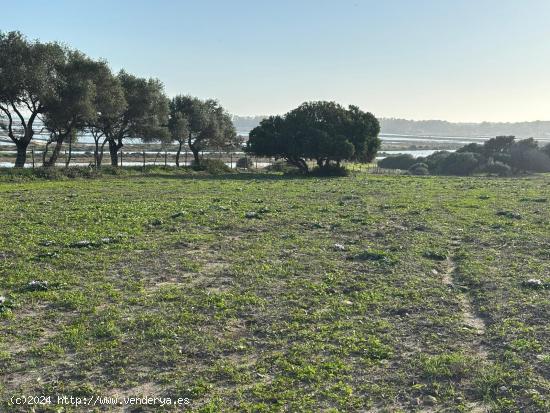  ESTUPENDA PARCELA CON BONITAS VISTAS - CADIZ 