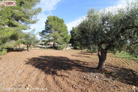 Terreno Urbano para construir Chalet - TARRAGONA