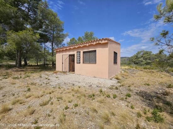  Finca Rústica de 13.068 M2, con casa legalizada de 36 M2 - TARRAGONA 