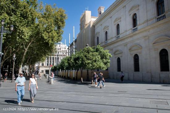 Se Alquila en Sevilla - SEVILLA