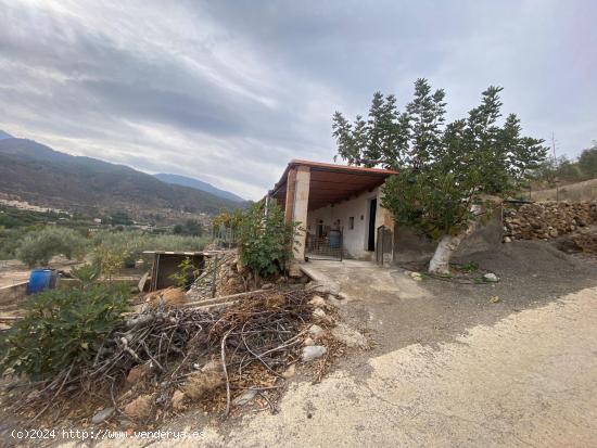  Cortijo con terreno en Instinción (Almería). - ALMERIA 