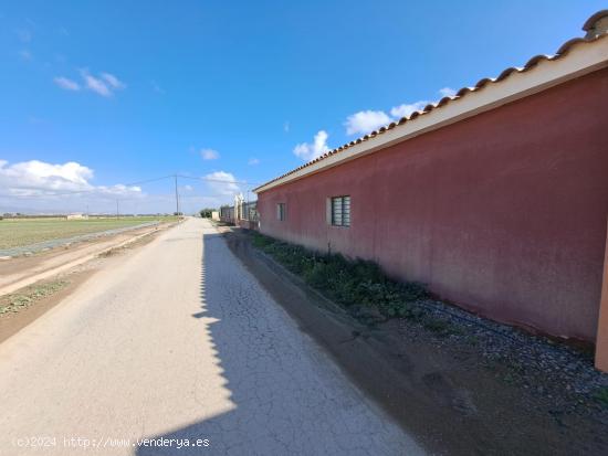 FINCA RURAL CON 4 VIVIENDAS Y NAVE - MURCIA