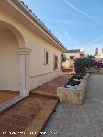 SE ALQUILA CHALET EN SA RAPITA DURANTE LOS MESES DE AGOSTO Y SEPTIEMBRE (3.000€/mes) - BALEARES