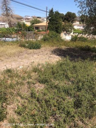 PARCELA URBANA EN LA URB CAN GORDEI (La Bisbal del Penedes) - TARRAGONA