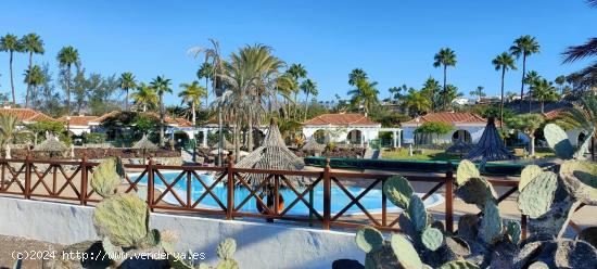 Bungalow reformado, amplio y luminoso en Campo de Golf de Maspalomas - LAS PALMAS