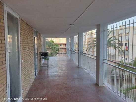 Vivienda en la zona de la Albufereta con amplia terraza. - ALICANTE