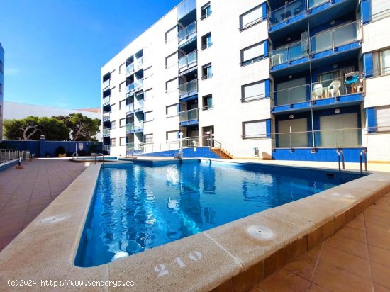 Apartamento en venta en Torrevieja (Alicante)