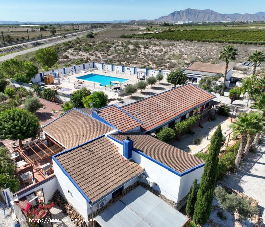 Finca en venta en Crevillent (Alicante)