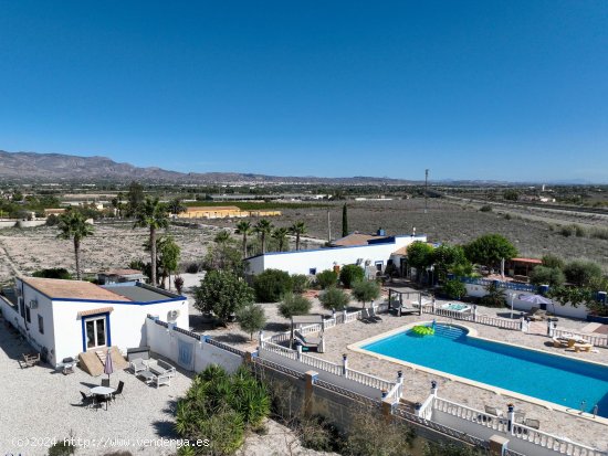 Finca en venta en Crevillent (Alicante)