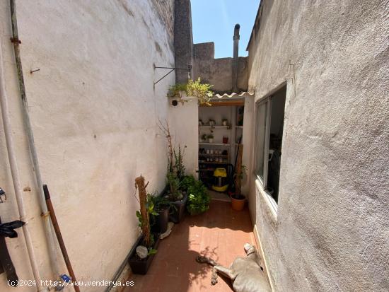 APARTAMENTO EN MURO. - BALEARES